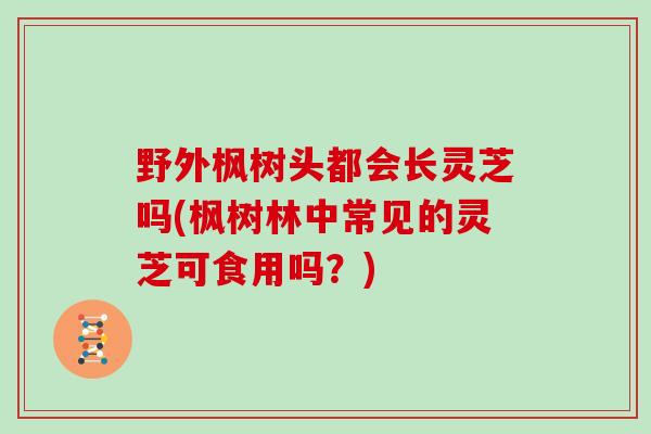 野外枫树头都会长灵芝吗(枫树林中常见的灵芝可食用吗？)