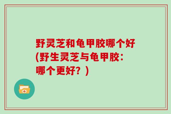 野灵芝和龟甲胶哪个好(野生灵芝与龟甲胶：哪个更好？)