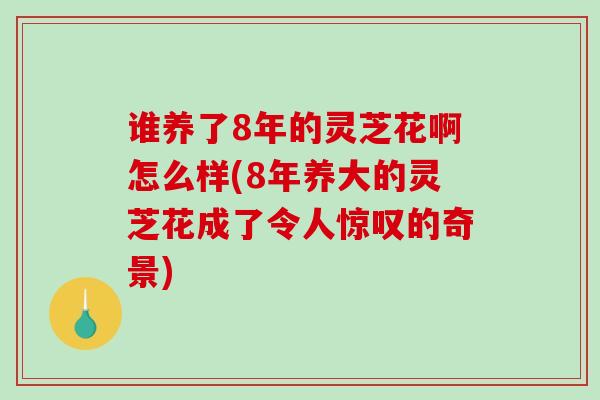 谁养了8年的灵芝花啊怎么样(8年养大的灵芝花成了令人惊叹的奇景)