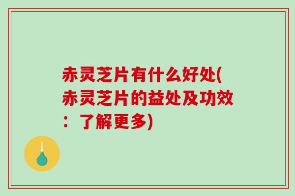 赤灵芝片有什么好处(赤灵芝片的益处及功效：了解更多)