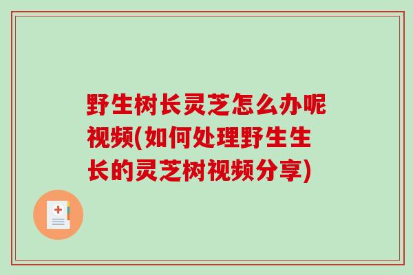 野生树长灵芝怎么办呢视频(如何处理野生生长的灵芝树视频分享)