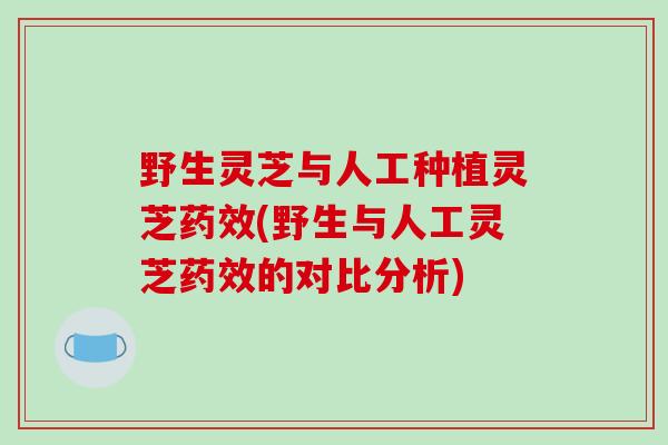 野生灵芝与人工种植灵芝(野生与人工灵芝的对比分析)