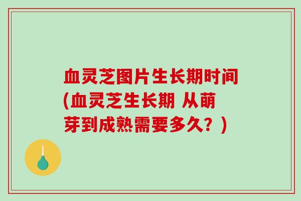 灵芝图片生长期时间(灵芝生长期 从萌芽到成熟需要多久？)