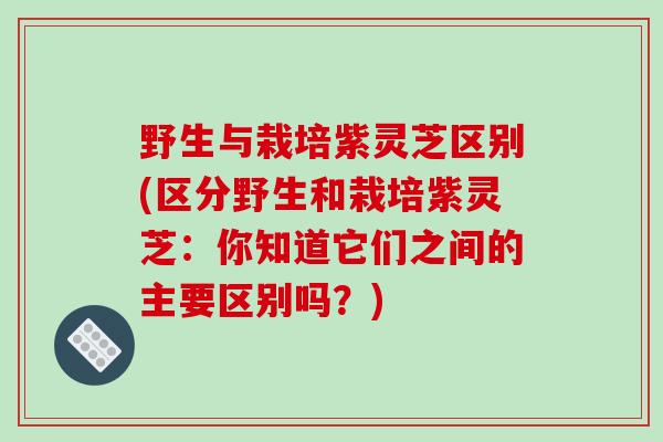 野生与栽培紫灵芝区别(区分野生和栽培紫灵芝：你知道它们之间的主要区别吗？)