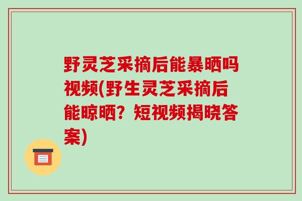 野灵芝采摘后能暴晒吗视频(野生灵芝采摘后能晾晒？短视频揭晓答案)