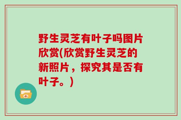 野生灵芝有叶子吗图片欣赏(欣赏野生灵芝的新照片，探究其是否有叶子。)