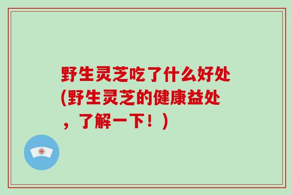 野生灵芝吃了什么好处(野生灵芝的健康益处，了解一下！)