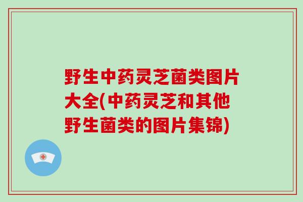 野生灵芝菌类图片大全(灵芝和其他野生菌类的图片集锦)