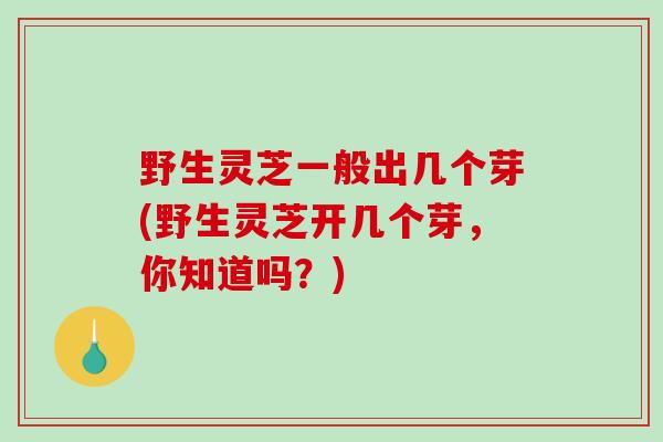 野生灵芝一般出几个芽(野生灵芝开几个芽，你知道吗？)