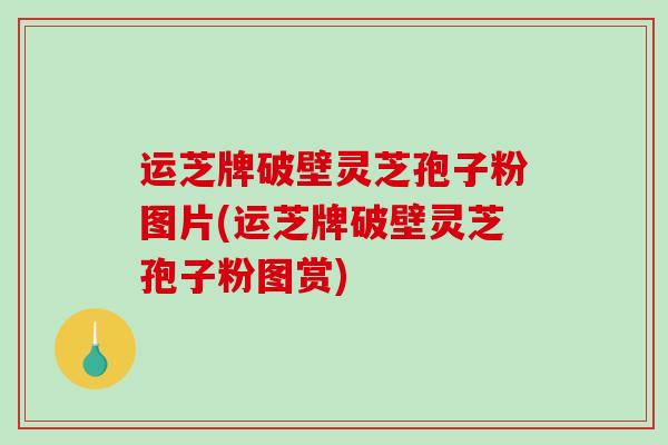 运芝牌破壁灵芝孢子粉图片(运芝牌破壁灵芝孢子粉图赏)