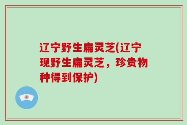 辽宁野生扁灵芝(辽宁现野生扁灵芝，珍贵物种得到保护)