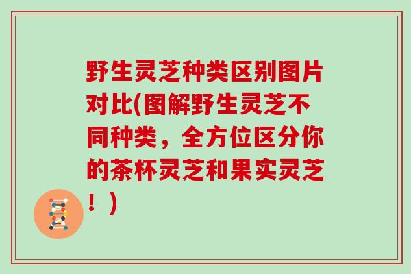 野生灵芝种类区别图片对比(图解野生灵芝不同种类，全方位区分你的茶杯灵芝和果实灵芝！)