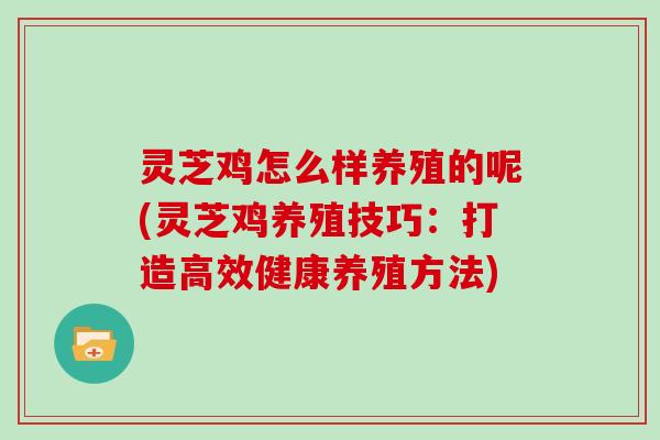 灵芝鸡怎么样养殖的呢(灵芝鸡养殖技巧：打造高效健康养殖方法)