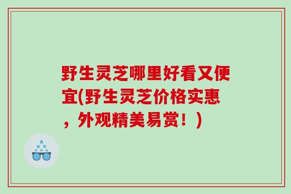 野生灵芝哪里好看又便宜(野生灵芝价格实惠，外观精美易赏！)