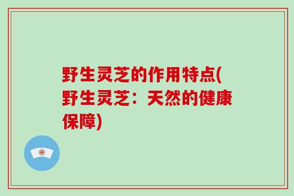 野生灵芝的作用特点(野生灵芝：天然的健康保障)