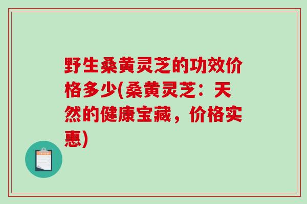 野生桑黄灵芝的功效价格多少(桑黄灵芝：天然的健康宝藏，价格实惠)