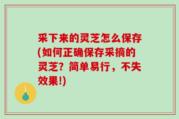 采下来的灵芝怎么保存(如何正确保存采摘的灵芝？简单易行，不失效果!)