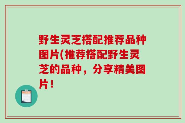 野生灵芝搭配推荐品种图片(推荐搭配野生灵芝的品种，分享精美图片！