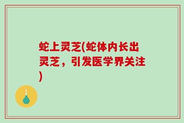 蛇上灵芝(蛇体内长出灵芝，引发医学界关注)