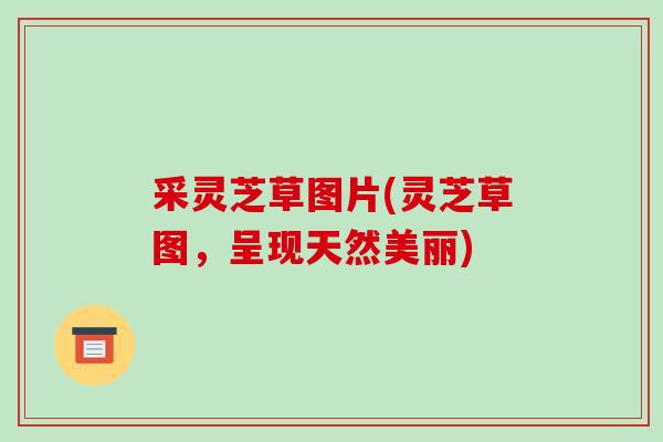 采灵芝草图片(灵芝草图，呈现天然美丽)