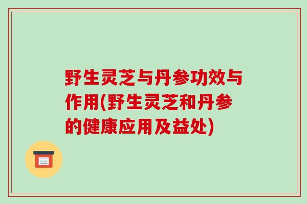 野生灵芝与丹参功效与作用(野生灵芝和丹参的健康应用及益处)