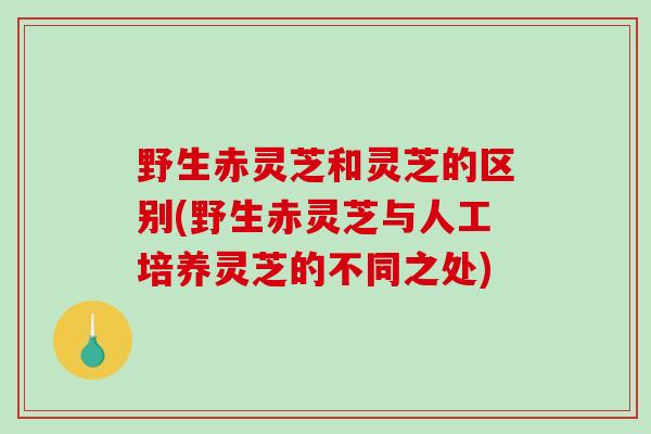 野生赤灵芝和灵芝的区别(野生赤灵芝与人工培养灵芝的不同之处)