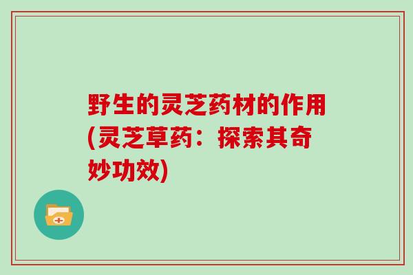 野生的灵芝药材的作用(灵芝草药：探索其奇妙功效)