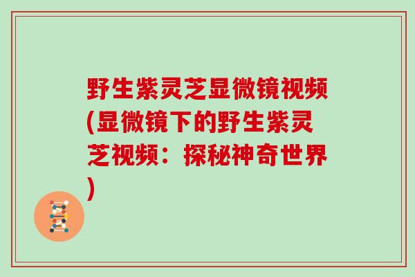 野生紫灵芝显微镜视频(显微镜下的野生紫灵芝视频：探秘神奇世界)