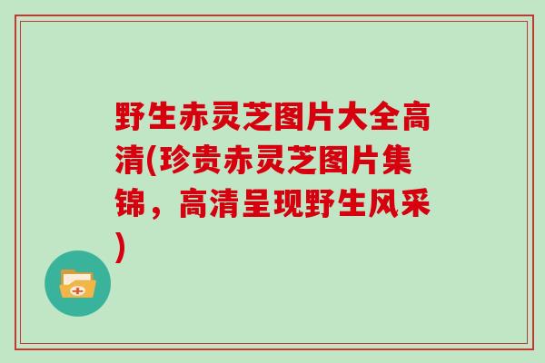 野生赤灵芝图片大全高清(珍贵赤灵芝图片集锦，高清呈现野生风采)