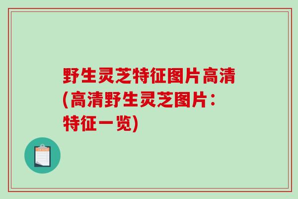 野生灵芝特征图片高清(高清野生灵芝图片：特征一览)