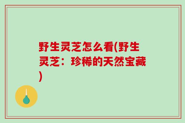 野生灵芝怎么看(野生灵芝：珍稀的天然宝藏)
