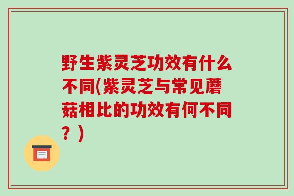 野生紫灵芝功效有什么不同(紫灵芝与常见蘑菇相比的功效有何不同？)