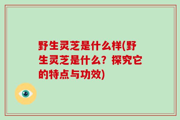 野生灵芝是什么样(野生灵芝是什么？探究它的特点与功效)