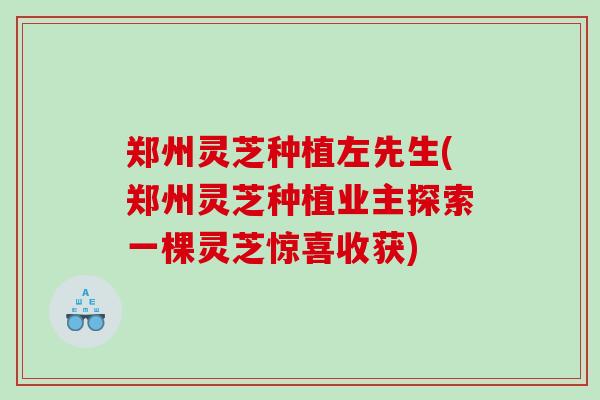 郑州灵芝种植左先生(郑州灵芝种植业主探索一棵灵芝惊喜收获)