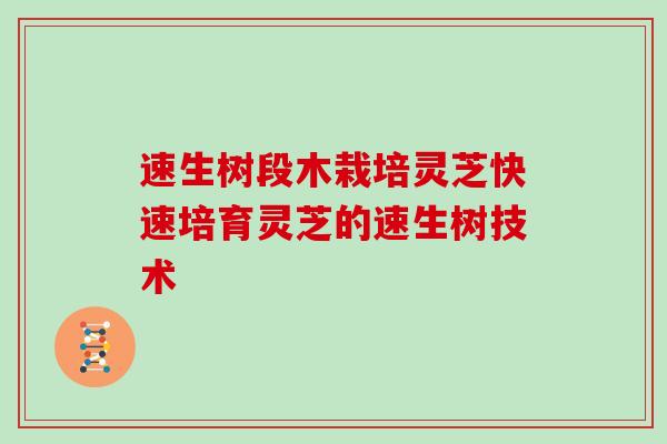 速生树段木栽培灵芝快速培育灵芝的速生树技术