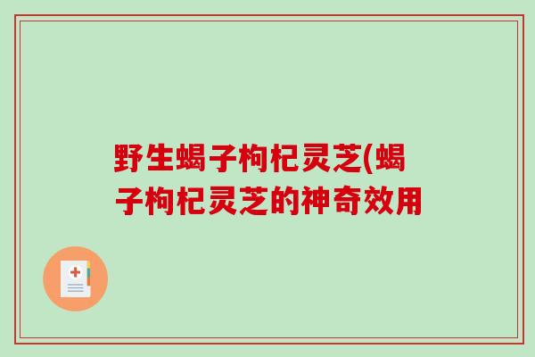 野生蝎子枸杞灵芝(蝎子枸杞灵芝的神奇效用 野生蝎子枸杞灵芝(蝎子枸杞灵芝的神奇效用