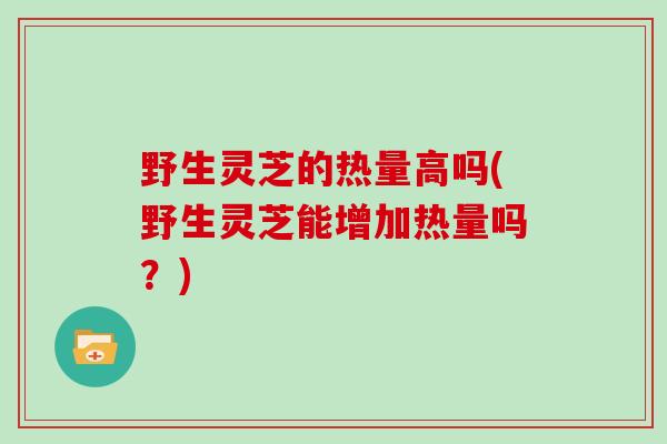 野生灵芝的热量高吗(野生灵芝能增加热量吗？)