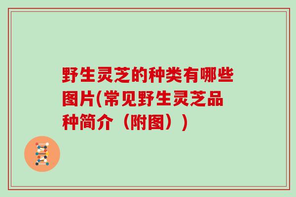 野生灵芝的种类有哪些图片(常见野生灵芝品种简介（附图）)