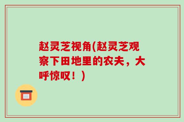 赵灵芝视角(赵灵芝观察下田地里的农夫，大呼惊叹！)