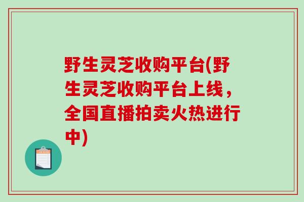 野生灵芝收购平台(野生灵芝收购平台上线，全国直播拍卖火热进行中)
