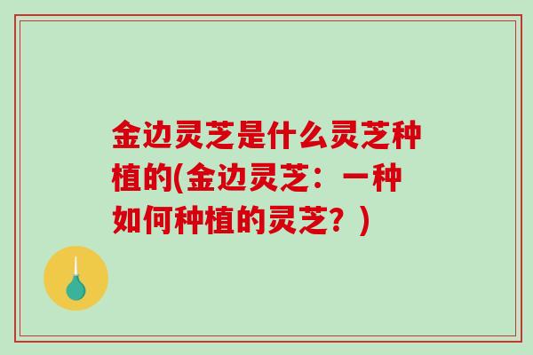 金边灵芝是什么灵芝种植的(金边灵芝：一种如何种植的灵芝？)