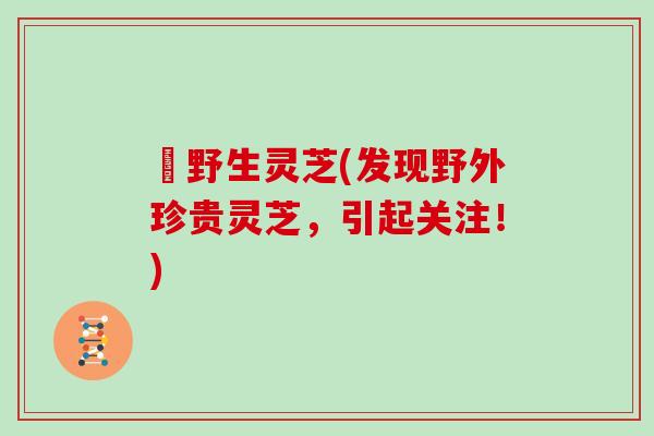 釆野生灵芝(发现野外珍贵灵芝，引起关注！)
