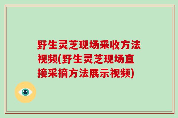 野生灵芝现场采收方法视频(野生灵芝现场直接采摘方法展示视频)