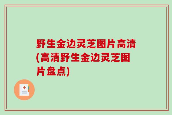 野生金边灵芝图片高清(高清野生金边灵芝图片盘点)