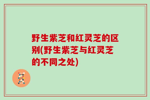 野生紫芝和红灵芝的区别(野生紫芝与红灵芝的不同之处)