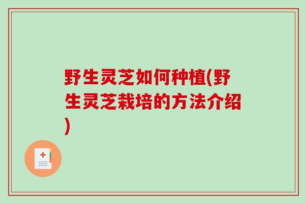 野生灵芝如何种植(野生灵芝栽培的方法介绍)