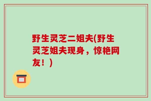 野生灵芝二姐夫(野生灵芝姐夫现身，惊艳网友！)