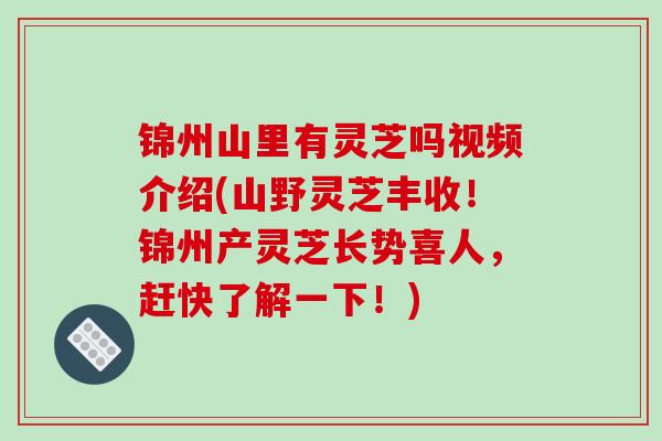 锦州山里有灵芝吗视频介绍(山野灵芝丰收！锦州产灵芝长势喜人，赶快了解一下！)