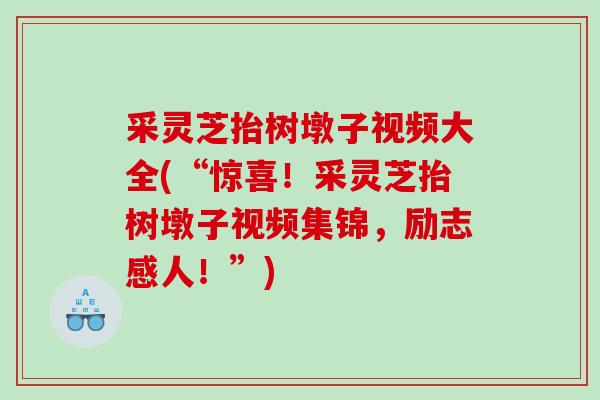 采灵芝抬树墩子视频大全(“惊喜！采灵芝抬树墩子视频集锦，励志感人！”)