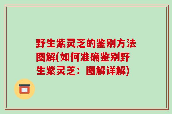 野生紫灵芝的鉴别方法图解(如何准确鉴别野生紫灵芝：图解详解)